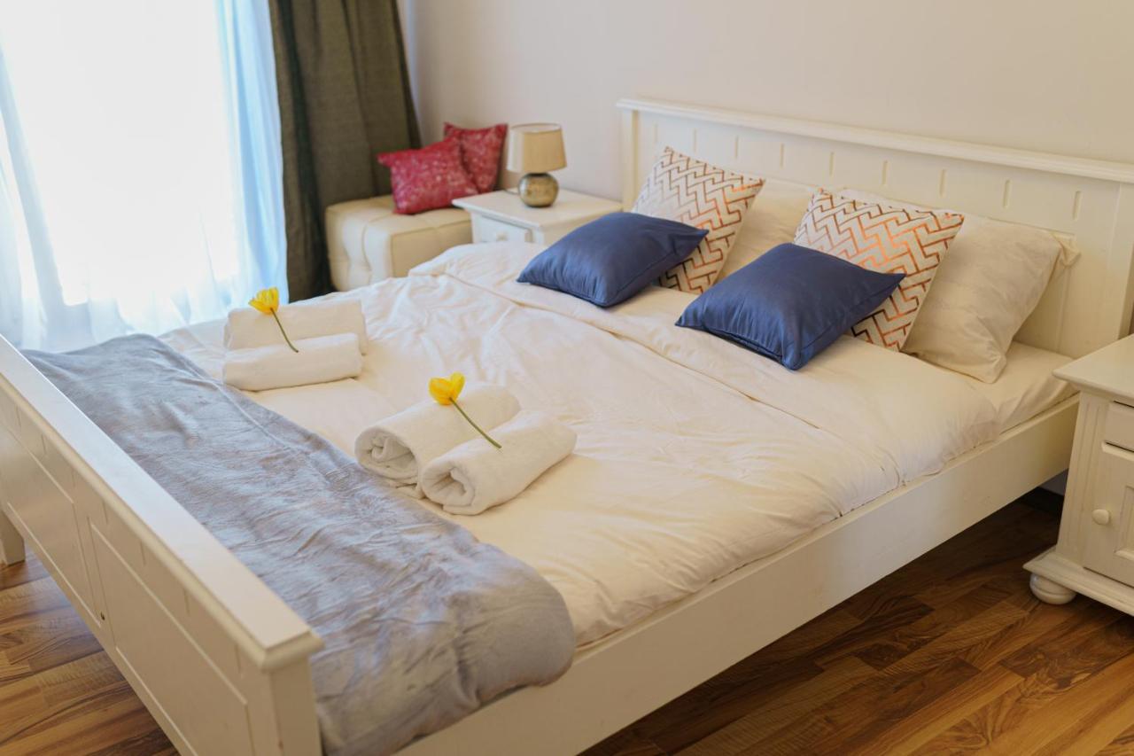 5* Mansion In City Center 克卢日-纳波卡 外观 照片