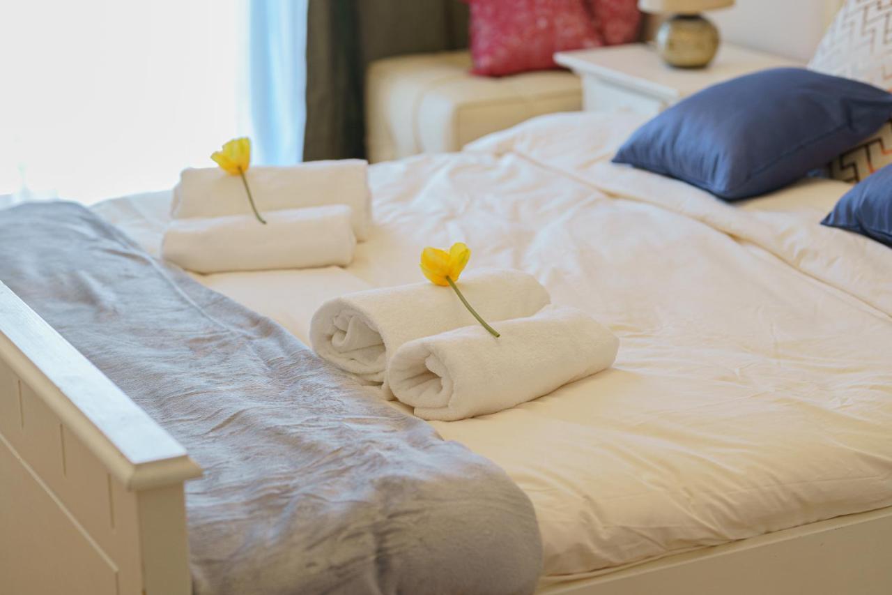 5* Mansion In City Center 克卢日-纳波卡 外观 照片